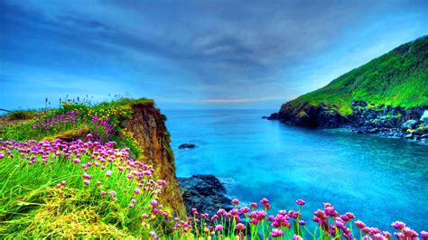 wallpapers and backgrounds|300,000+ Beautiful HD Wallpaper Images .